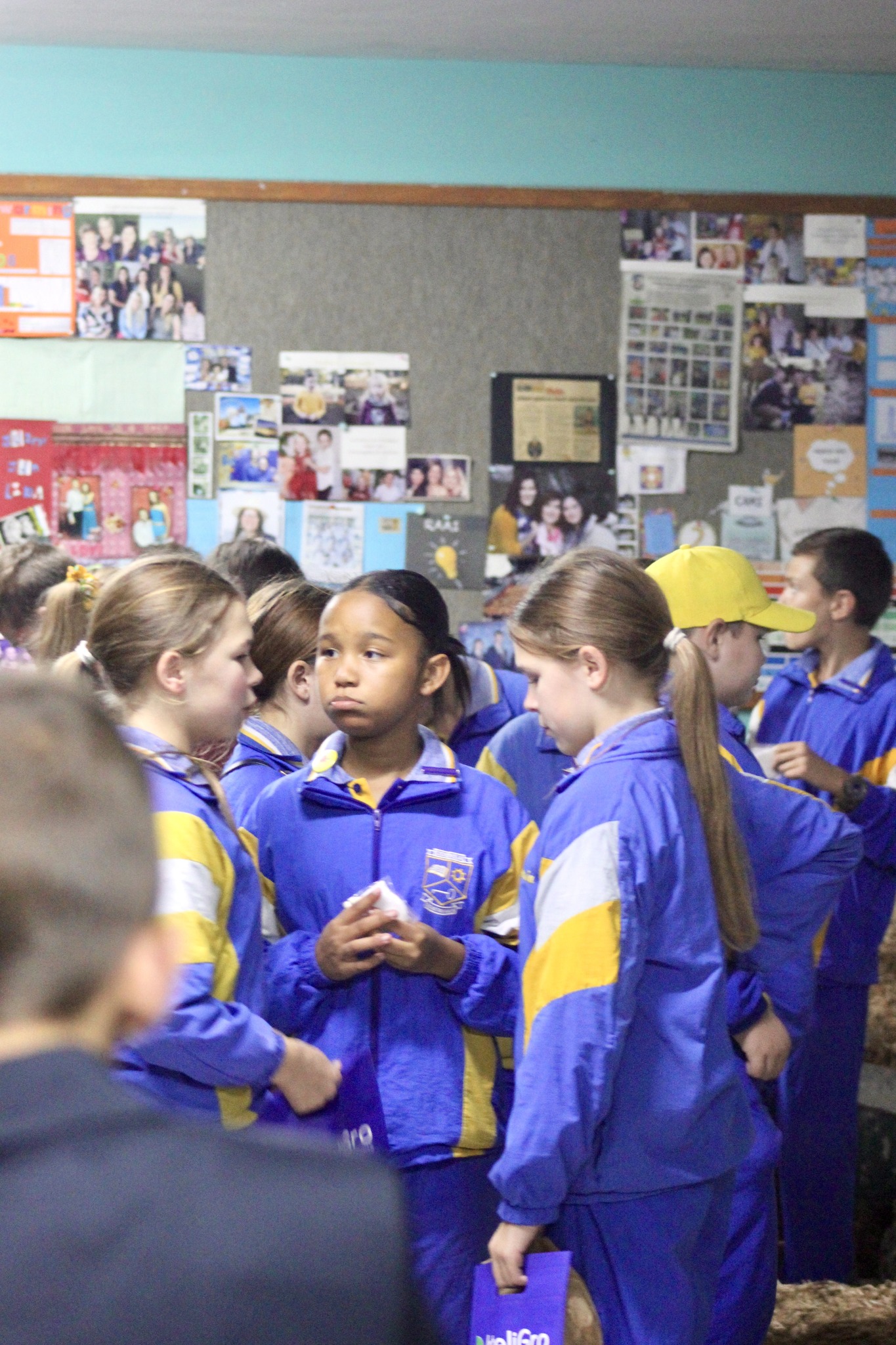 496938584_1237493378162698_1353514618399905612_n